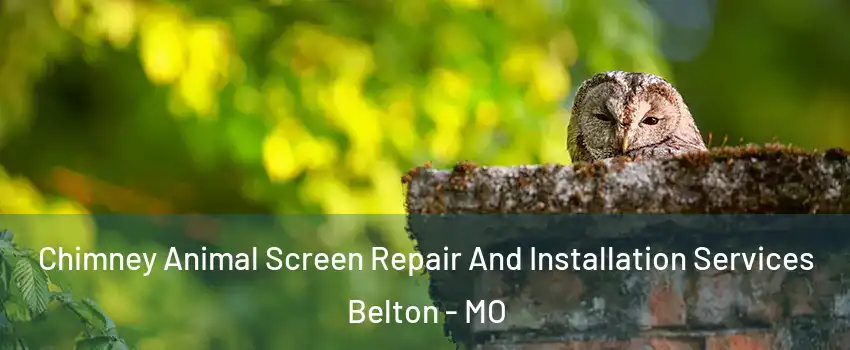  Chimney Animal Screen Repair And Installation Services Belton - MO