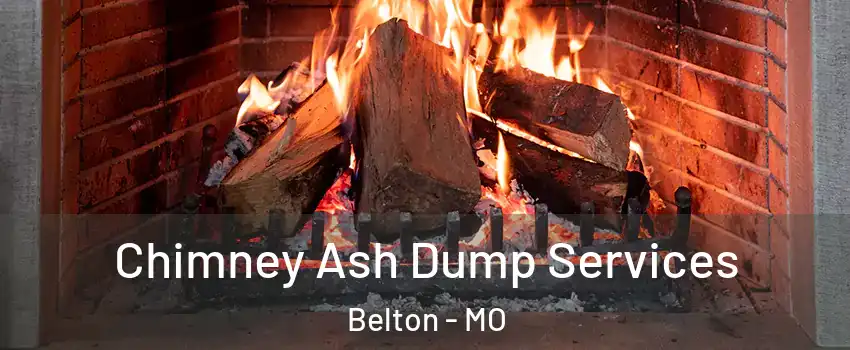  Chimney Ash Dump Services Belton - MO