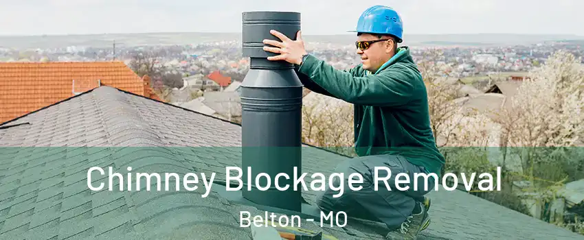  Chimney Blockage Removal Belton - MO