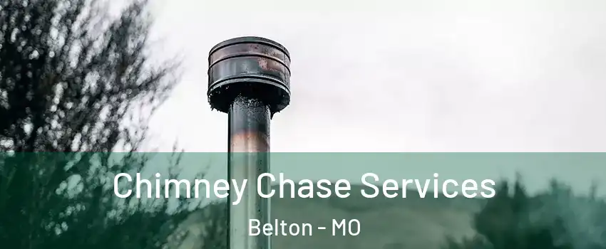  Chimney Chase Services Belton - MO