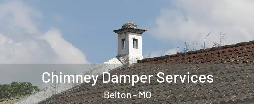  Chimney Damper Services Belton - MO