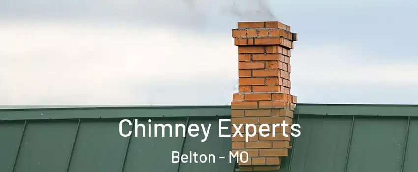  Chimney Experts Belton - MO