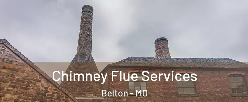  Chimney Flue Services Belton - MO