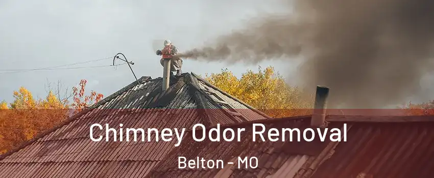  Chimney Odor Removal Belton - MO