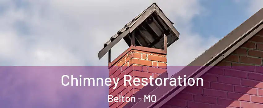  Chimney Restoration Belton - MO