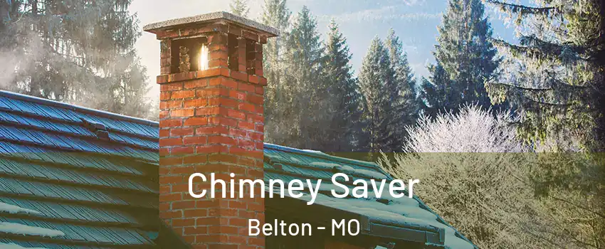  Chimney Saver Belton - MO