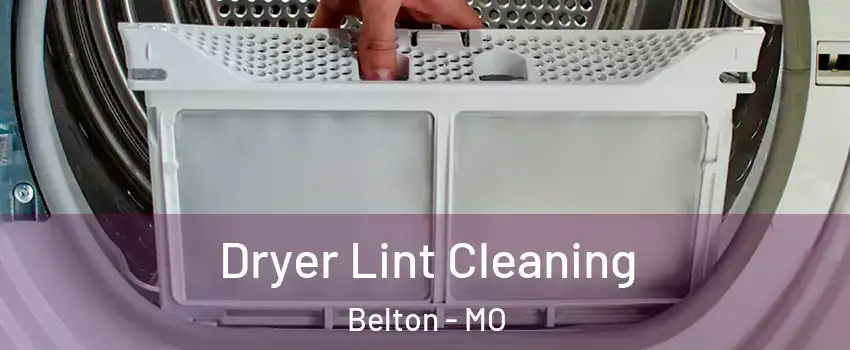  Dryer Lint Cleaning Belton - MO