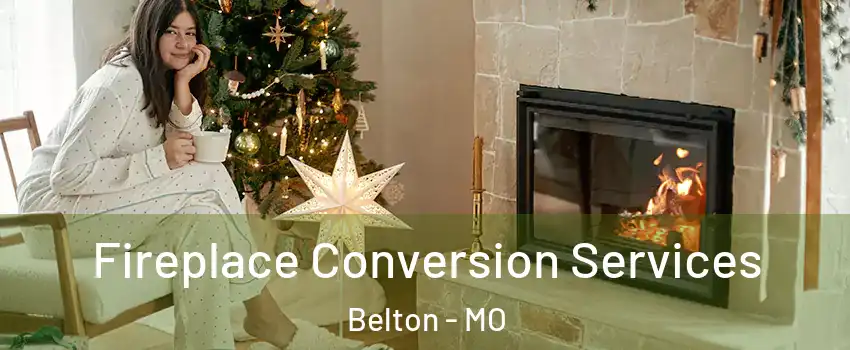  Fireplace Conversion Services Belton - MO