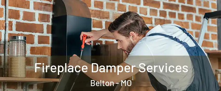  Fireplace Damper Services Belton - MO