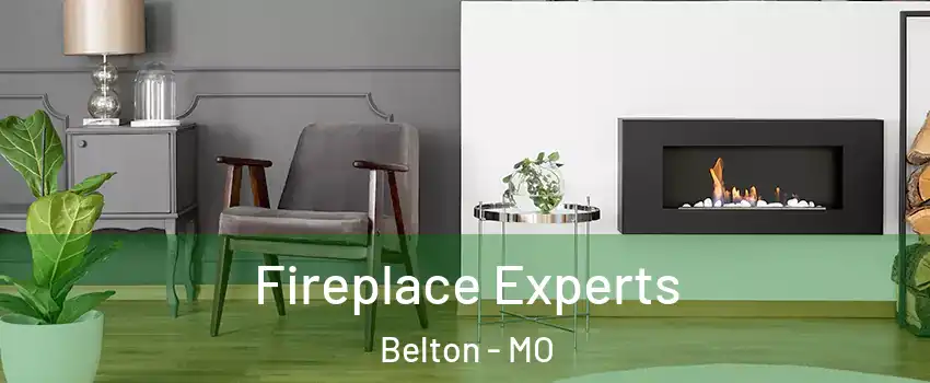 Fireplace Experts Belton - MO