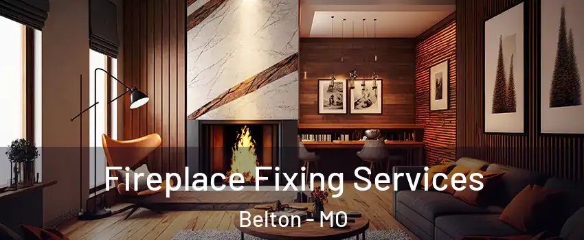  Fireplace Fixing Services Belton - MO