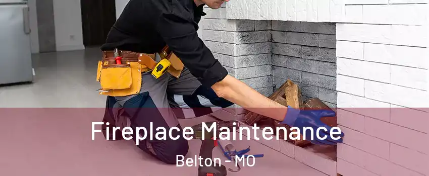  Fireplace Maintenance Belton - MO