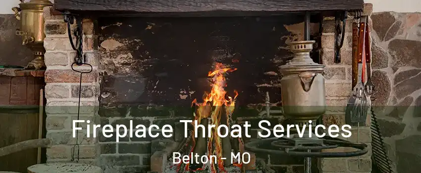  Fireplace Throat Services Belton - MO