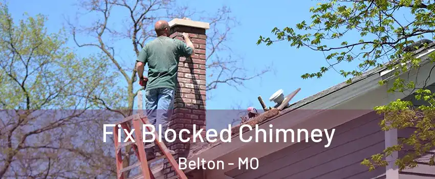  Fix Blocked Chimney Belton - MO