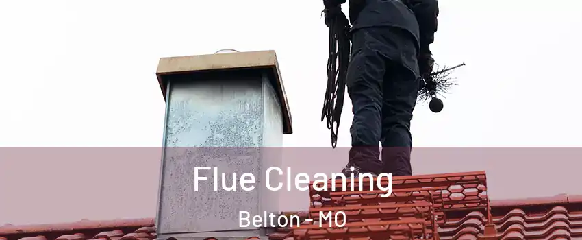  Flue Cleaning Belton - MO