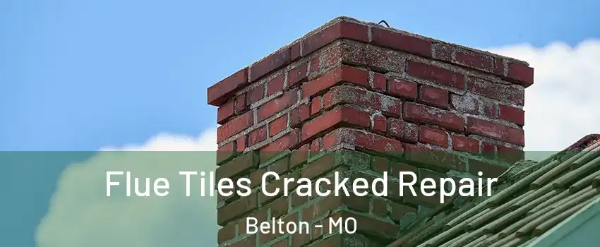  Flue Tiles Cracked Repair Belton - MO