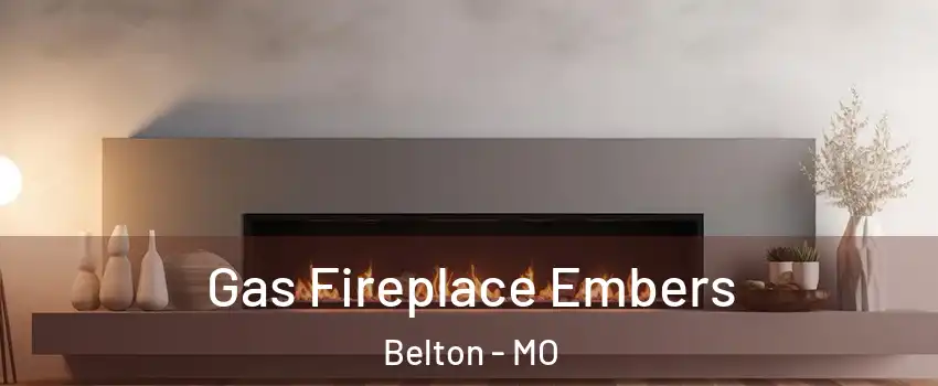  Gas Fireplace Embers Belton - MO