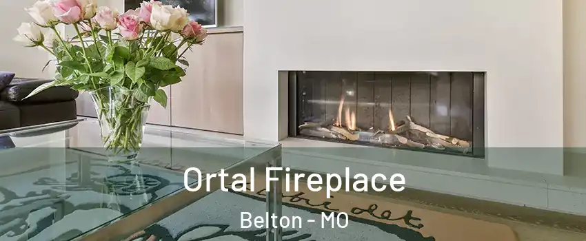  Ortal Fireplace Belton - MO