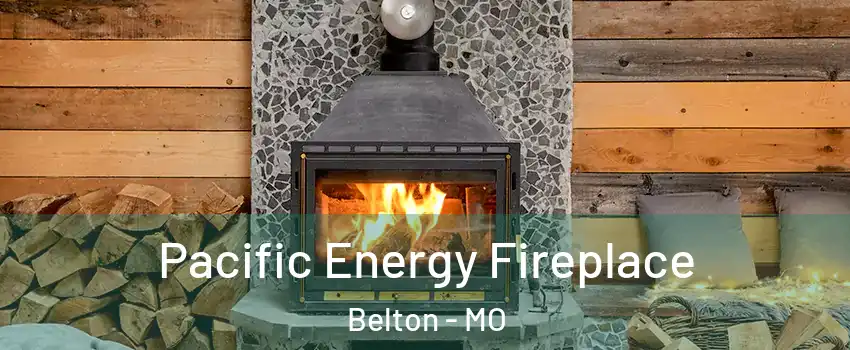  Pacific Energy Fireplace Belton - MO