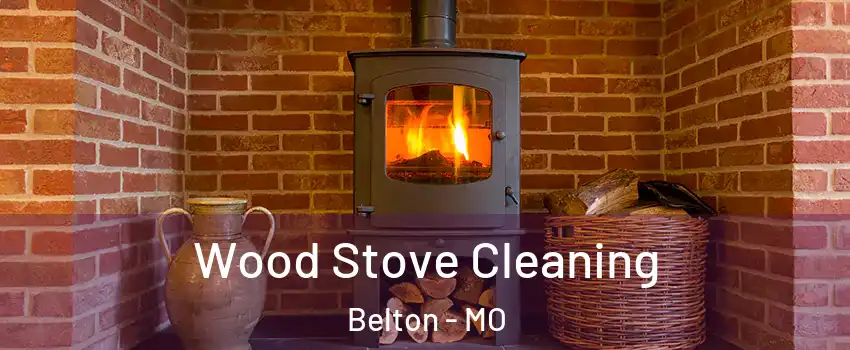  Wood Stove Cleaning Belton - MO